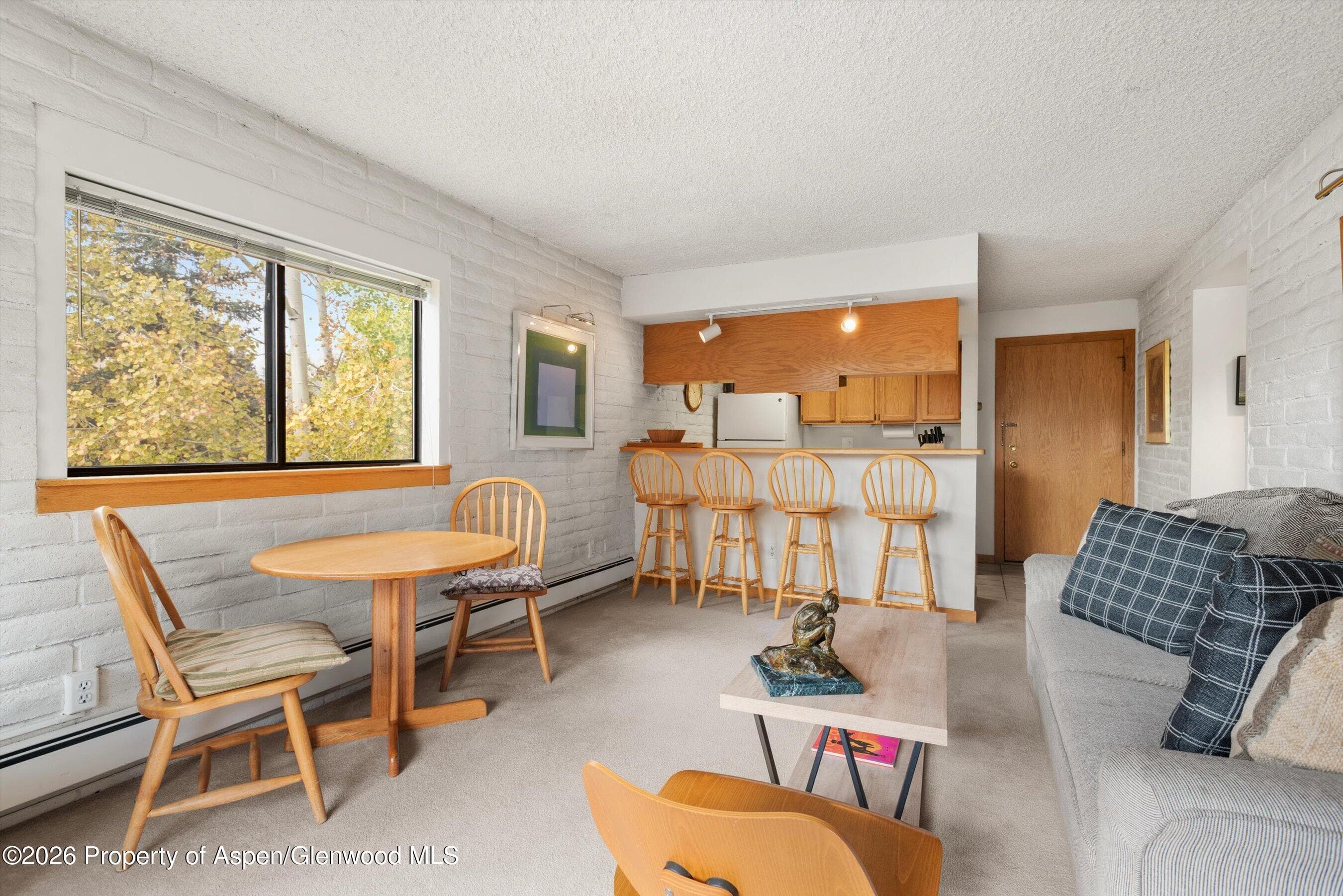 131 Vine Street, Aspen, CO 81611 - Photo 8