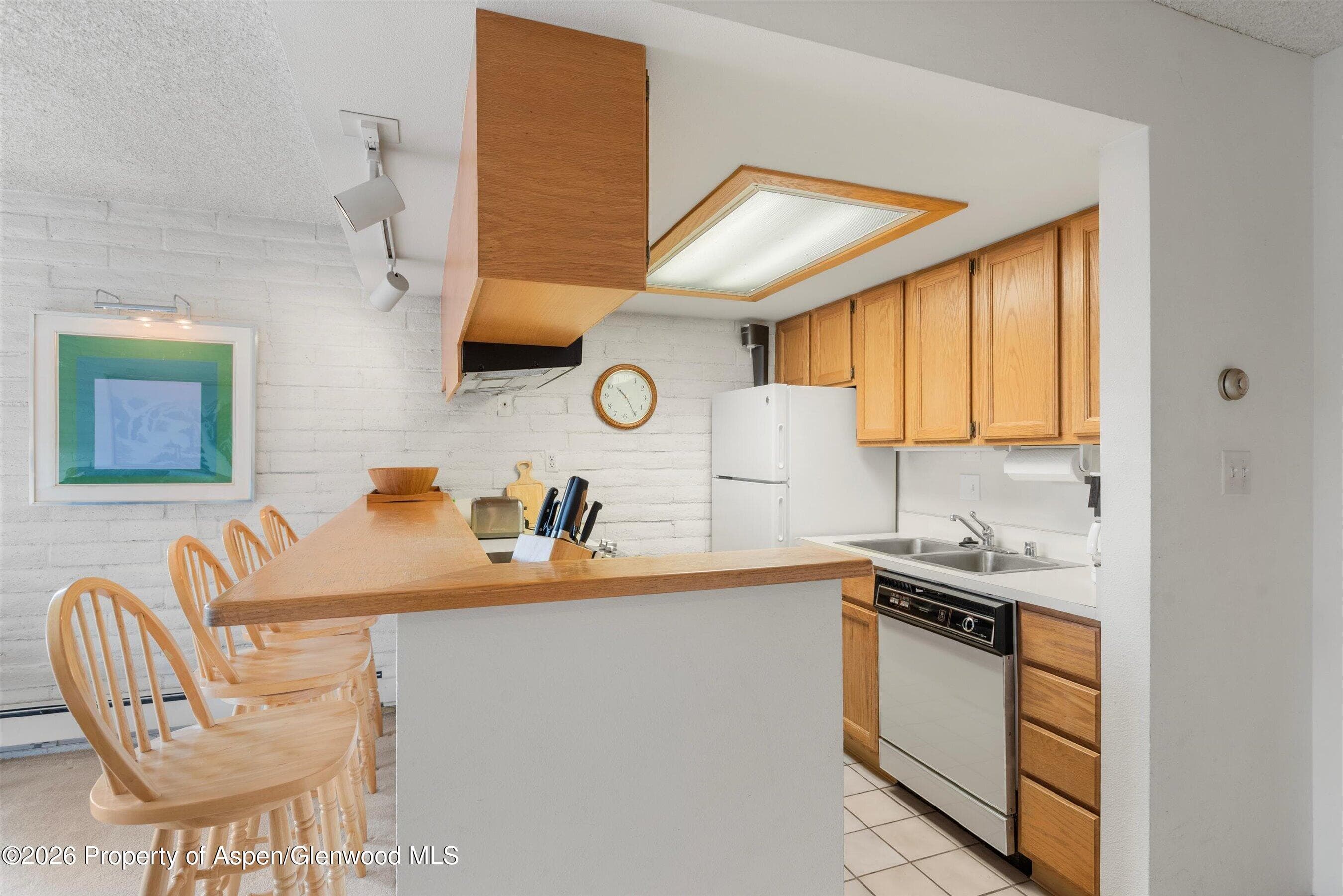 131 Vine Street, Aspen, CO 81611 - Photo 9