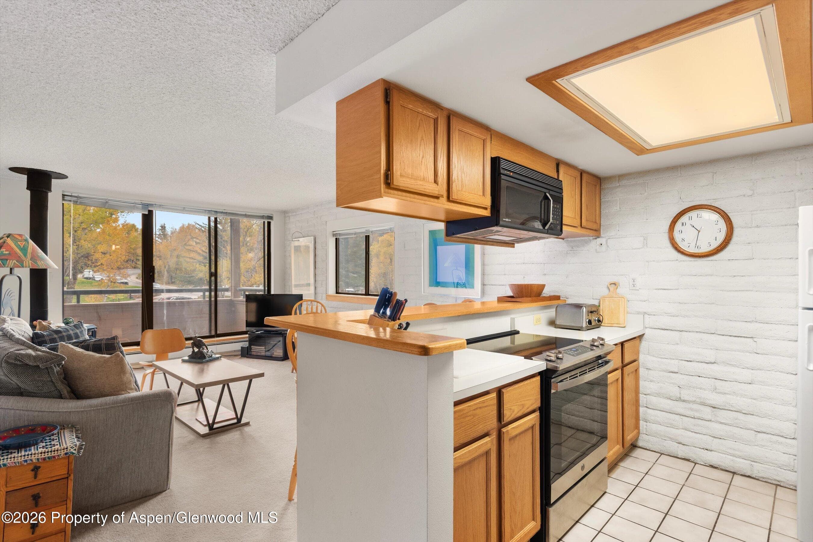 131 Vine Street, Aspen, CO 81611 - Photo 11