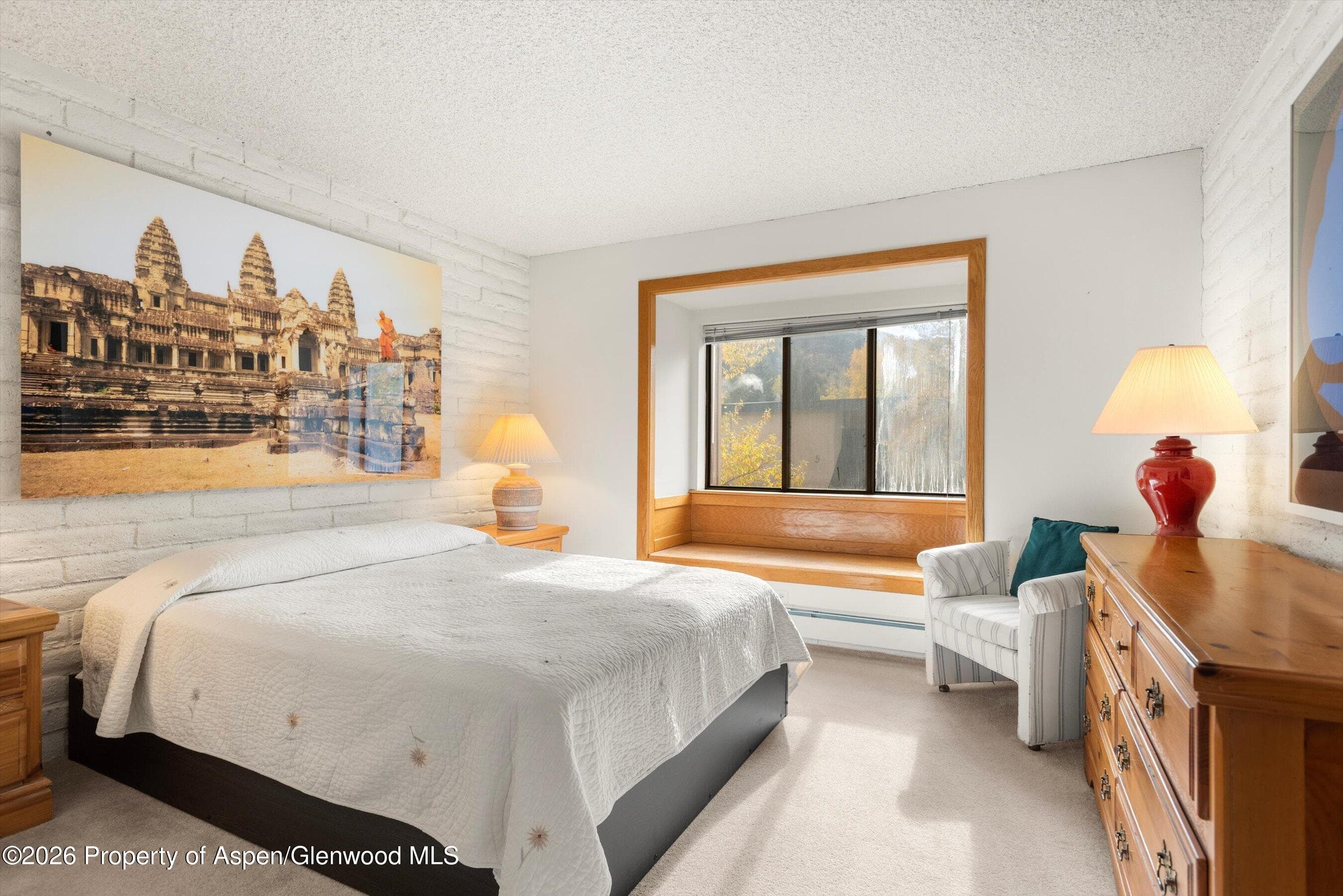 131 Vine Street, Aspen, CO 81611 - Photo 14