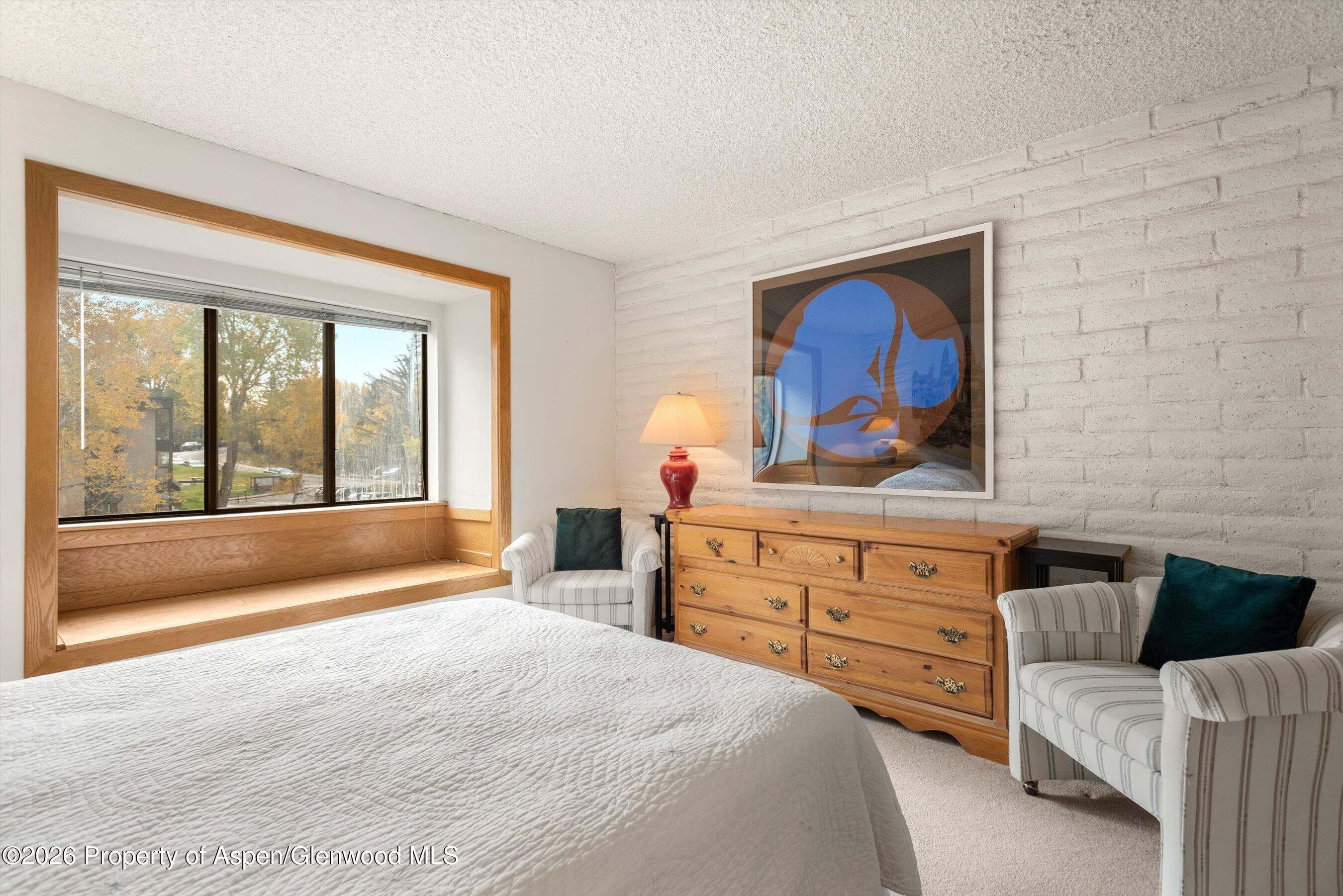 131 Vine Street, Aspen, CO 81611 - Photo 15