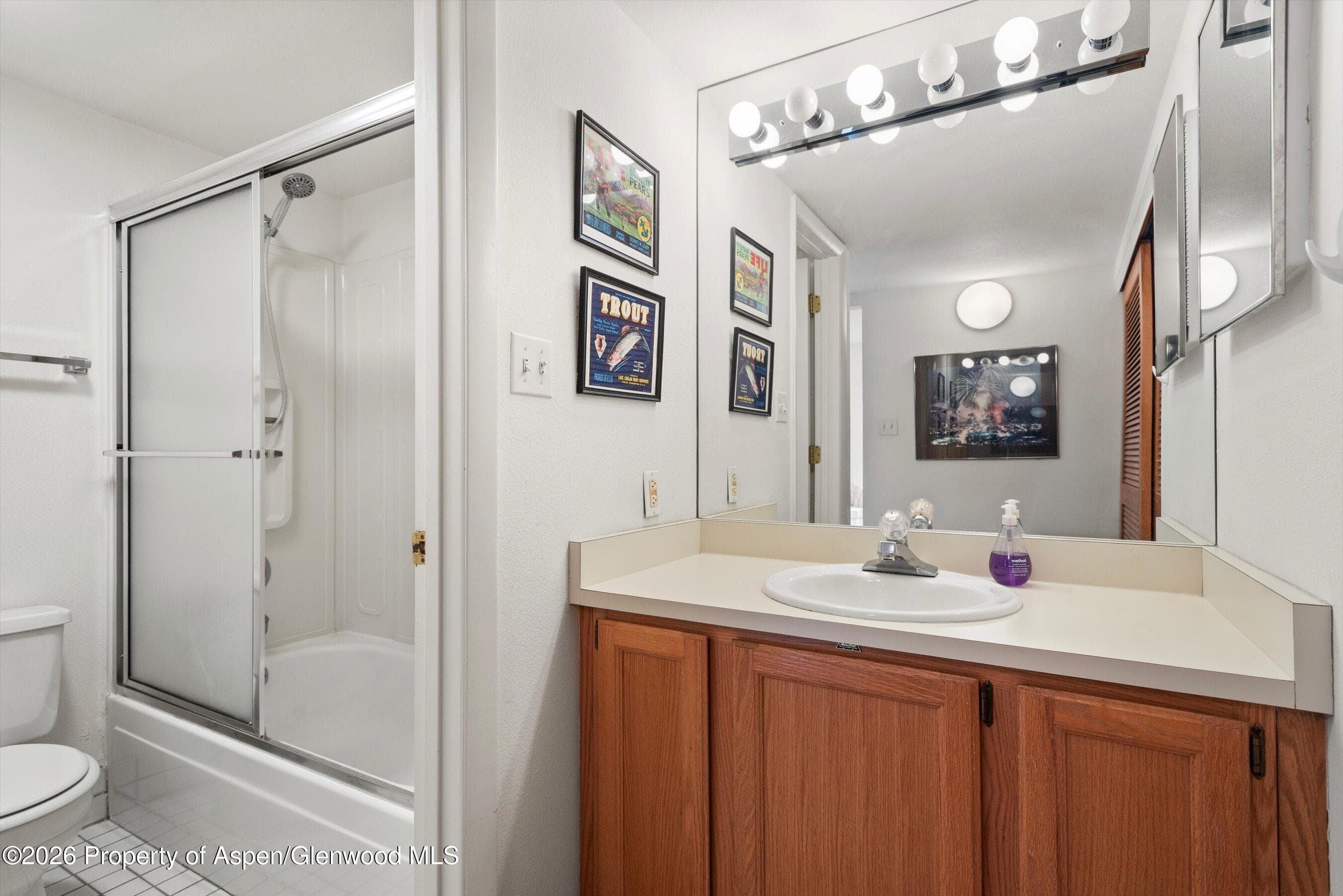 131 Vine Street, Aspen, CO 81611 - Photo 16