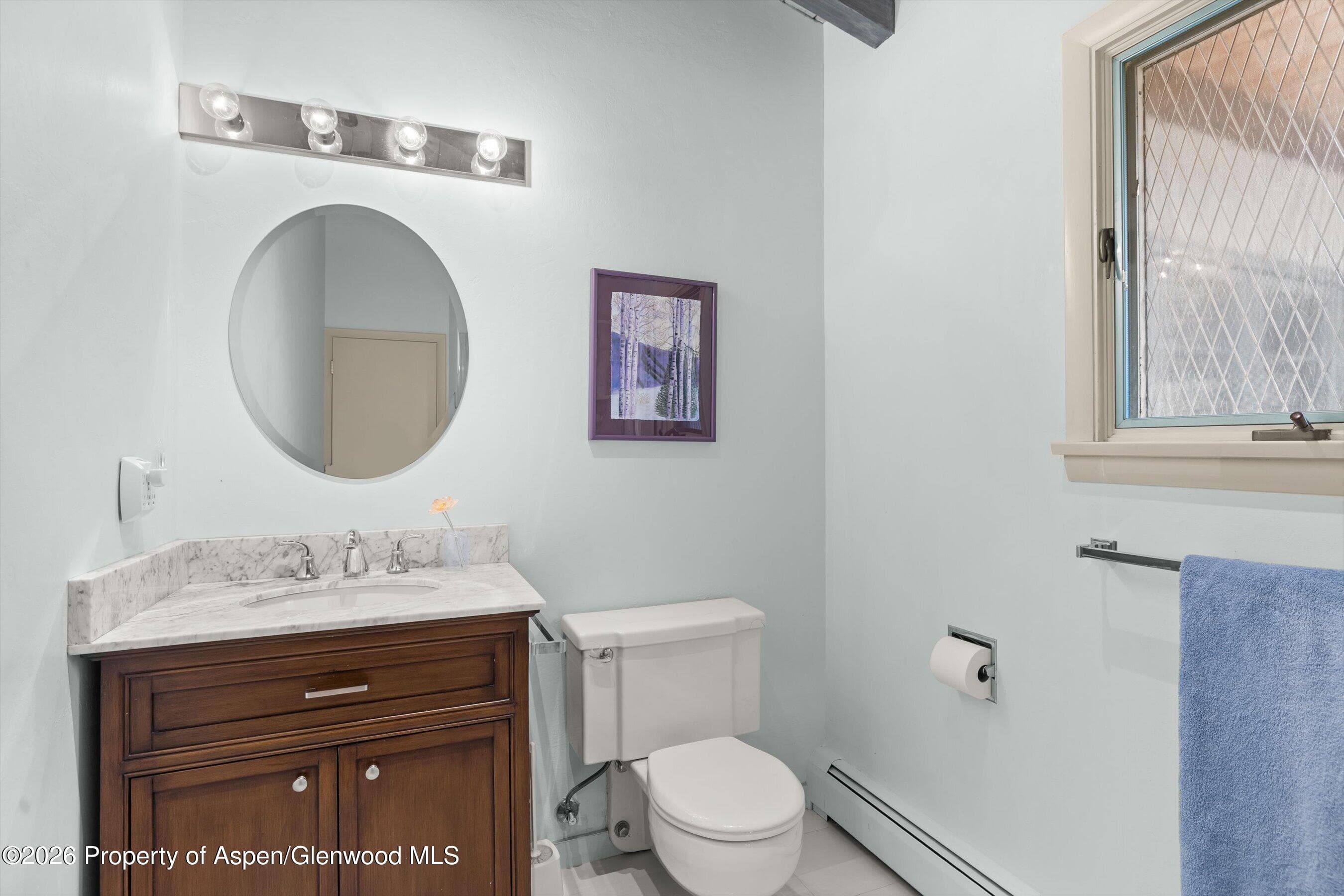 308 Mcskimming Road, Aspen, CO 81611 - Photo 19