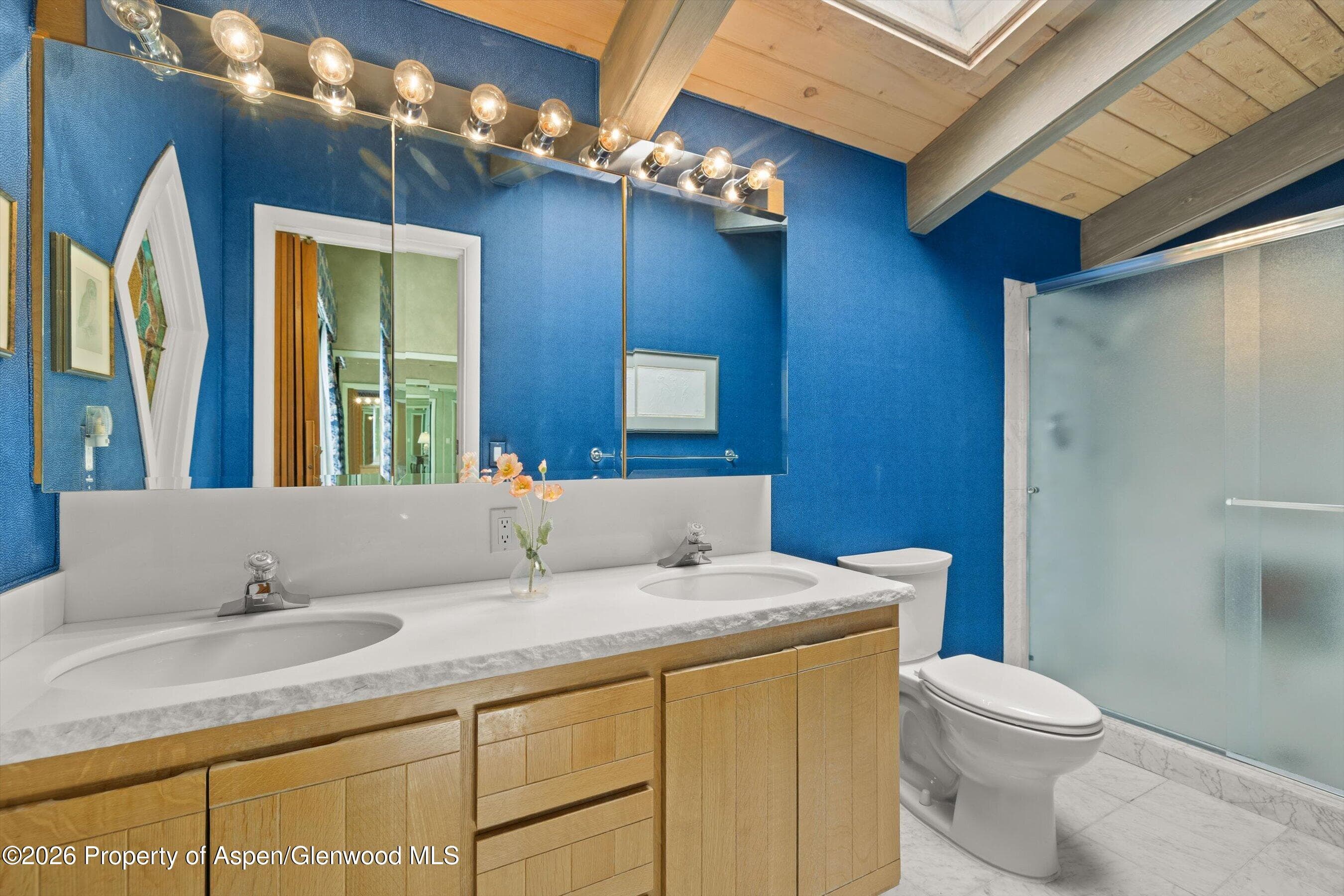 308 Mcskimming Road, Aspen, CO 81611 - Photo 22