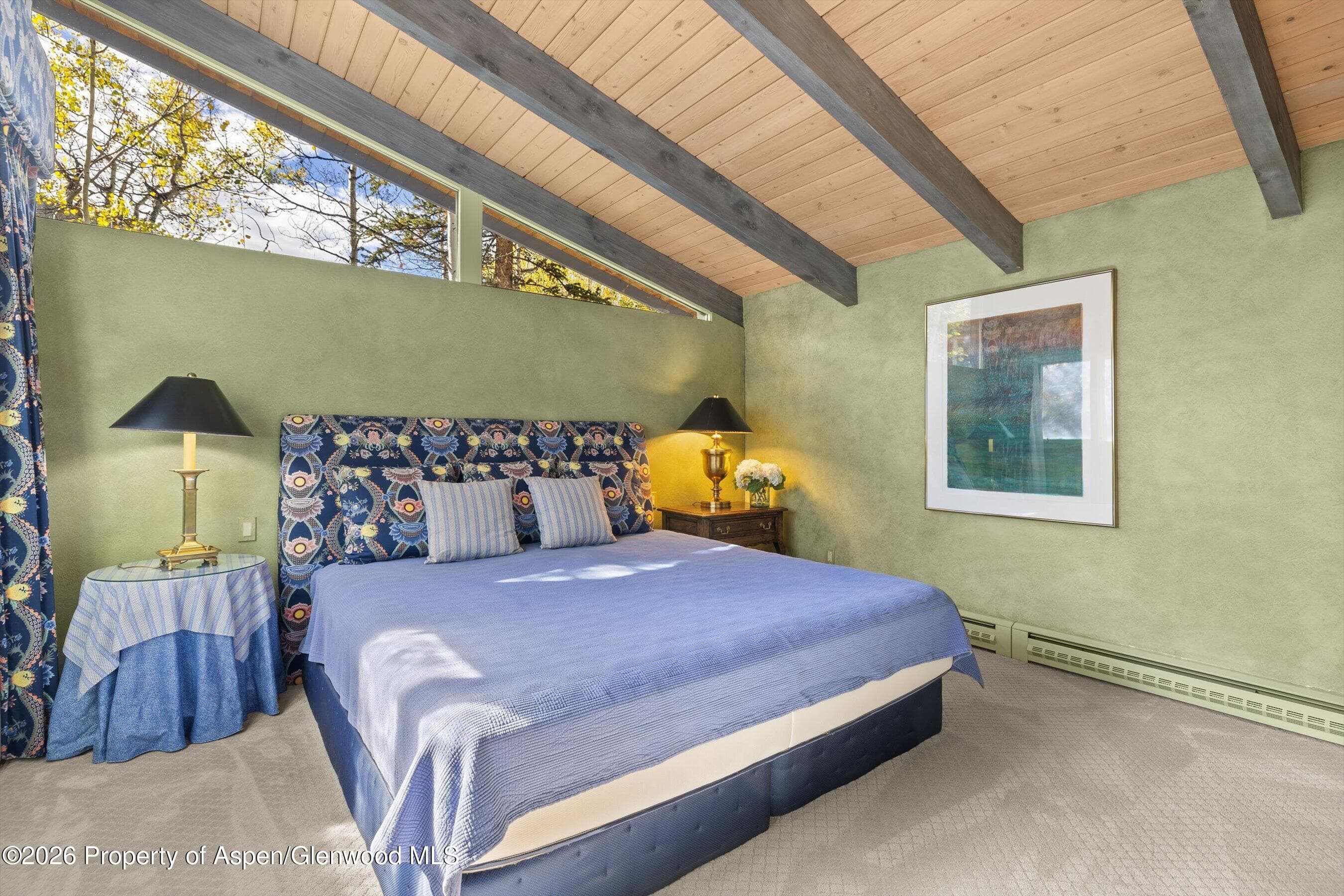 308 Mcskimming Road, Aspen, CO 81611 - Photo 20
