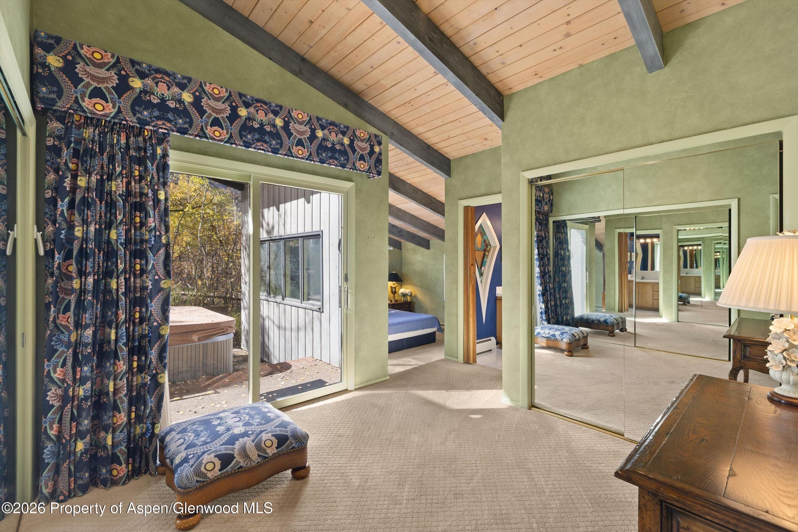 308 Mcskimming Road, Aspen, CO 81611 - Photo 21