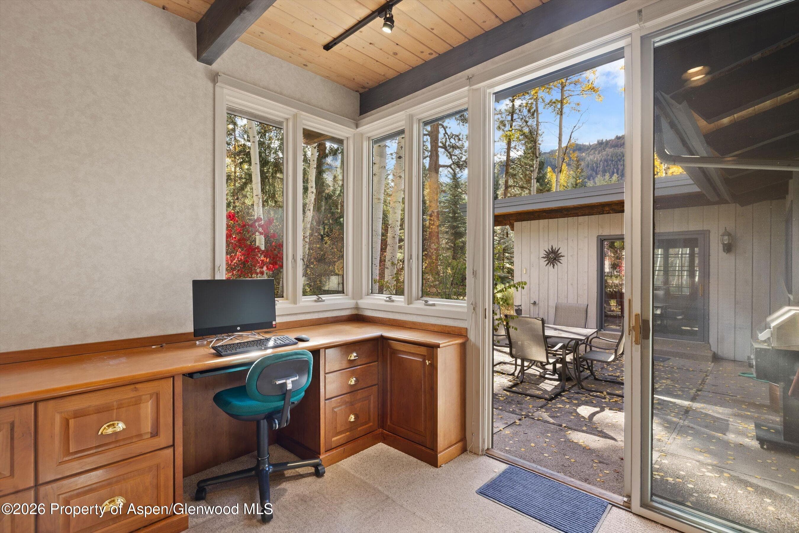 308 Mcskimming Road, Aspen, CO 81611 - Photo 9