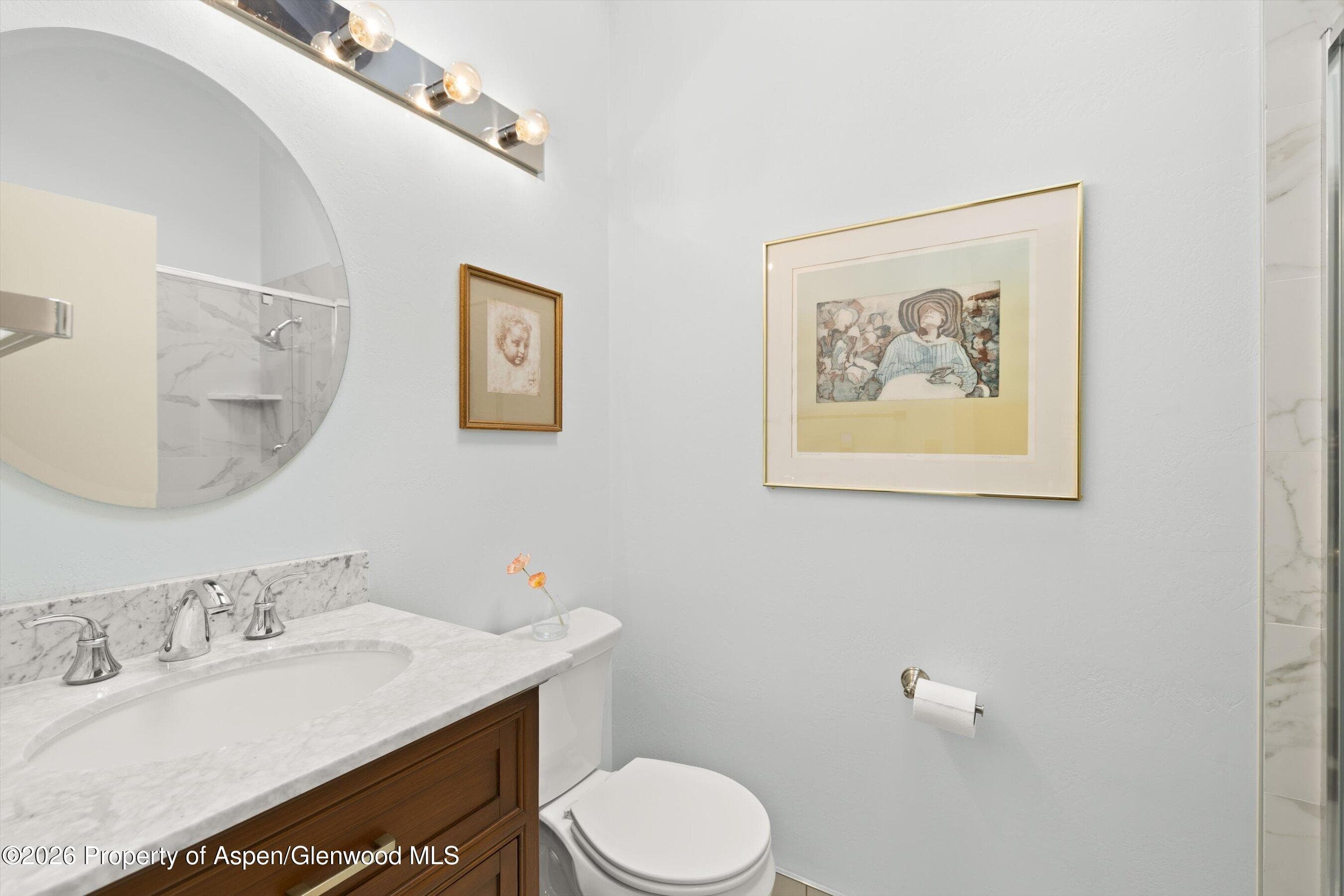 308 Mcskimming Road, Aspen, CO 81611 - Photo 17