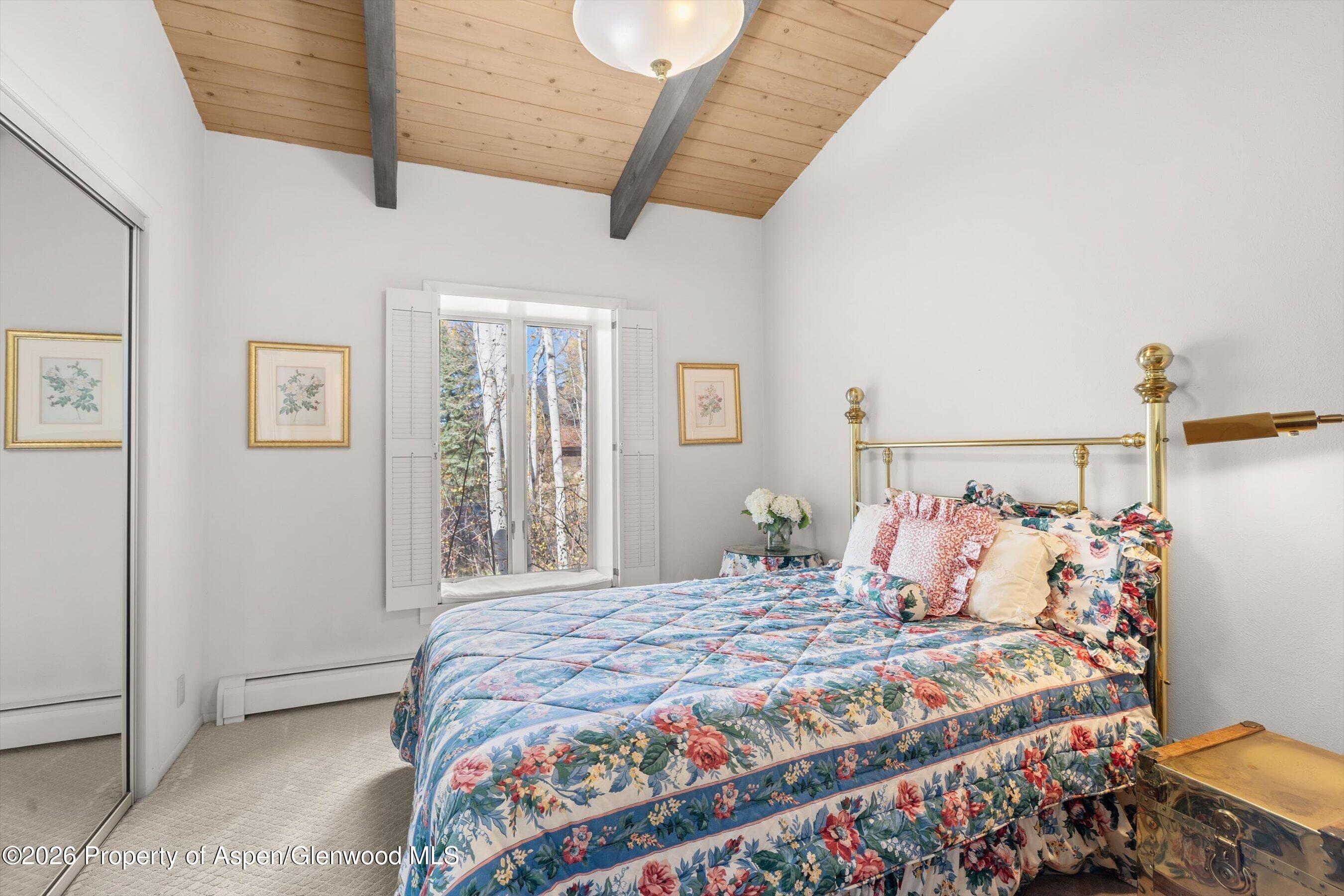 308 Mcskimming Road, Aspen, CO 81611 - Photo 16