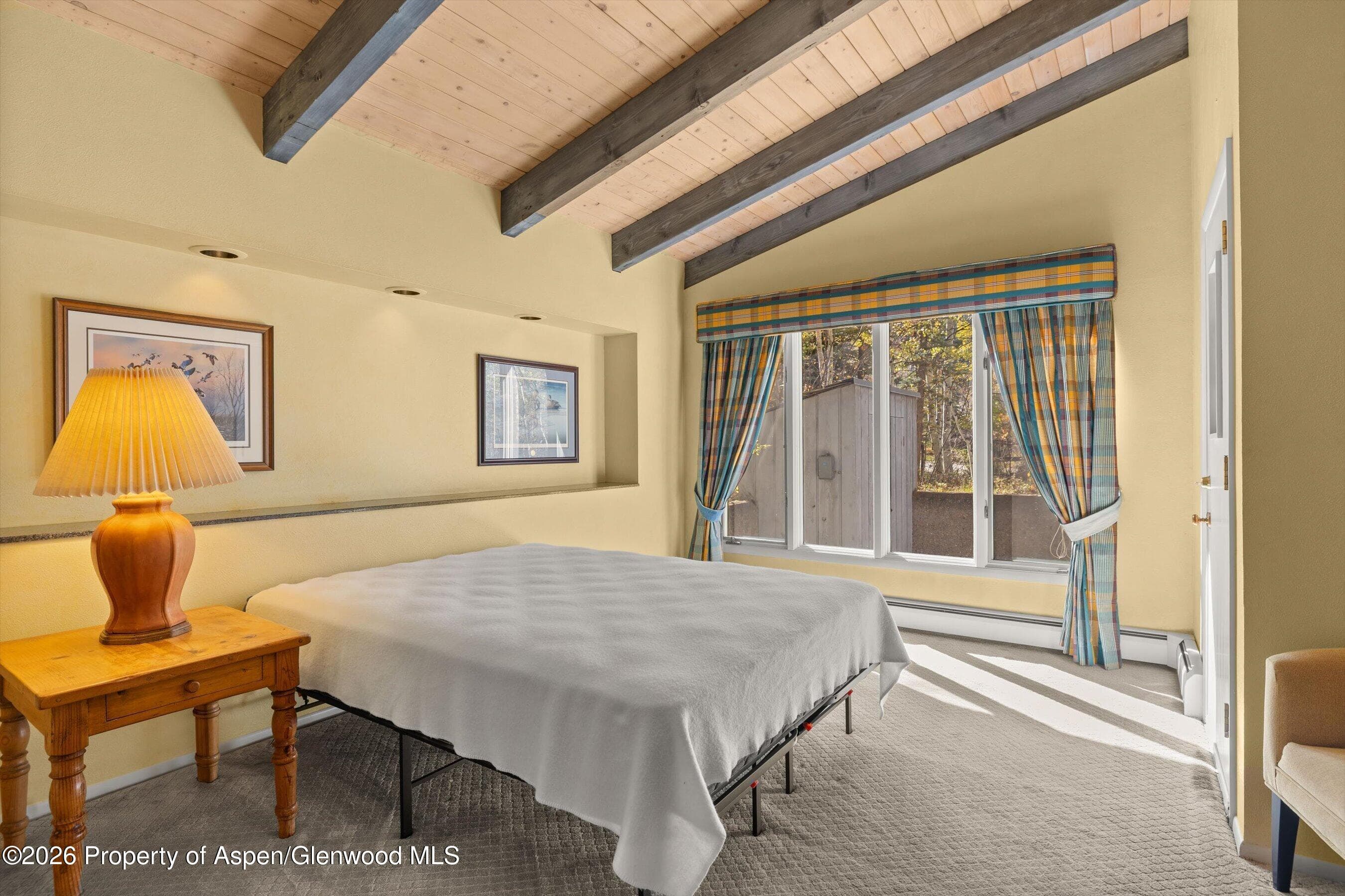 308 Mcskimming Road, Aspen, CO 81611 - Photo 18