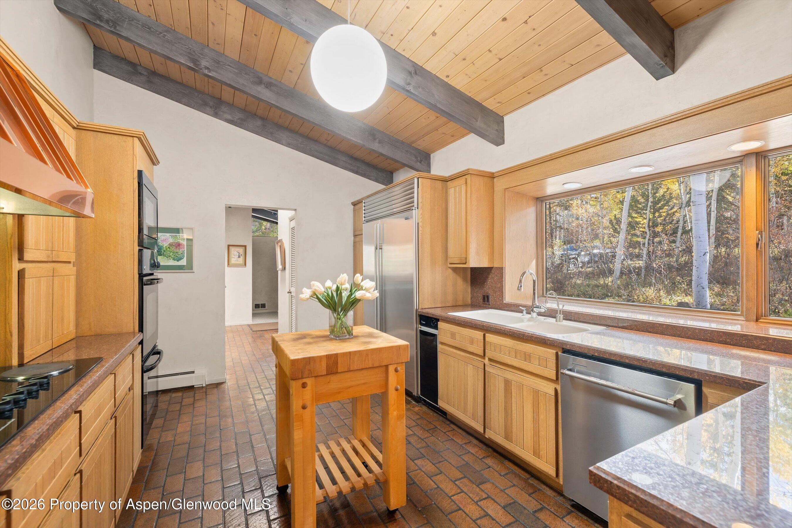 308 Mcskimming Road, Aspen, CO 81611 - Photo 11