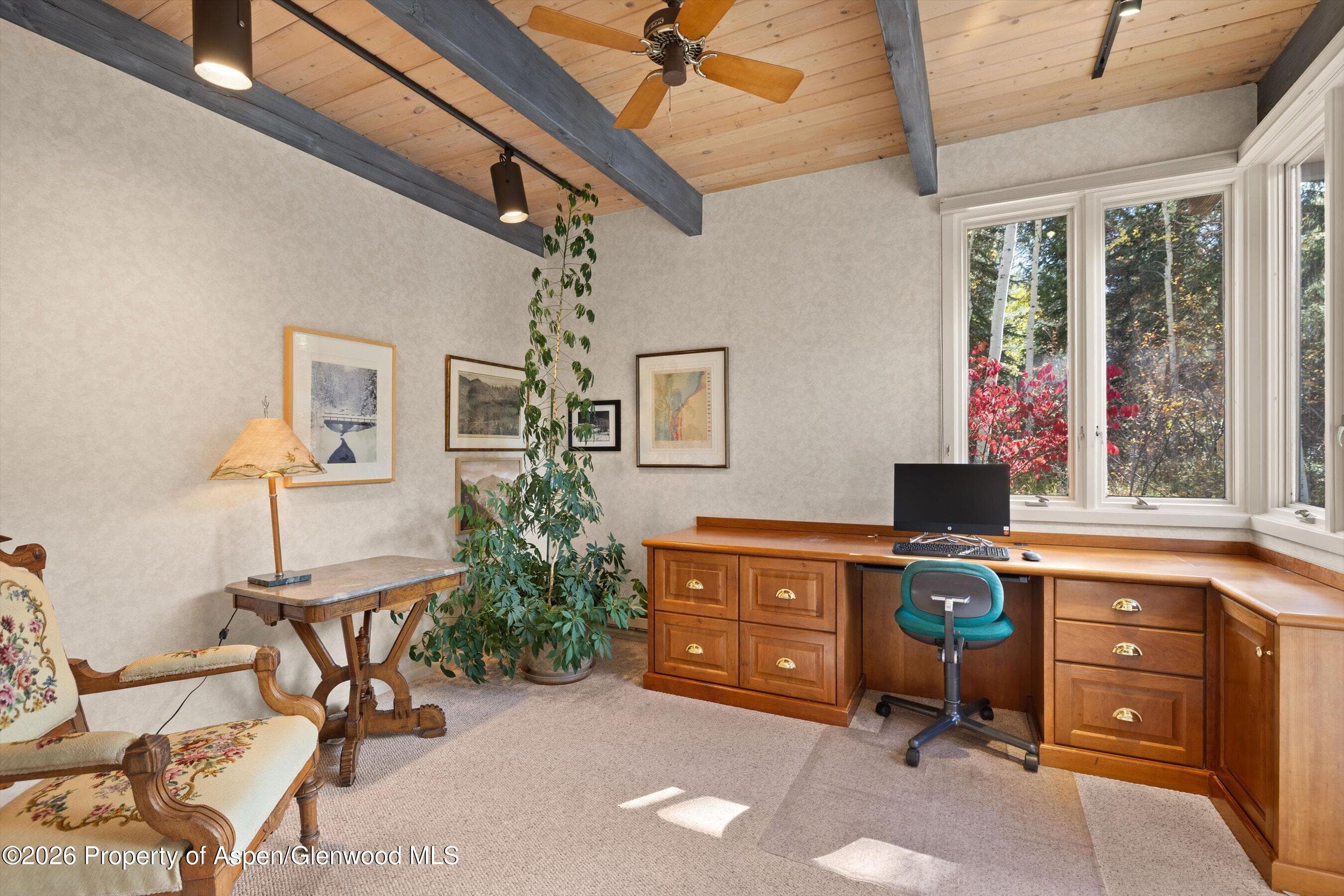 308 Mcskimming Road, Aspen, CO 81611 - Photo 8