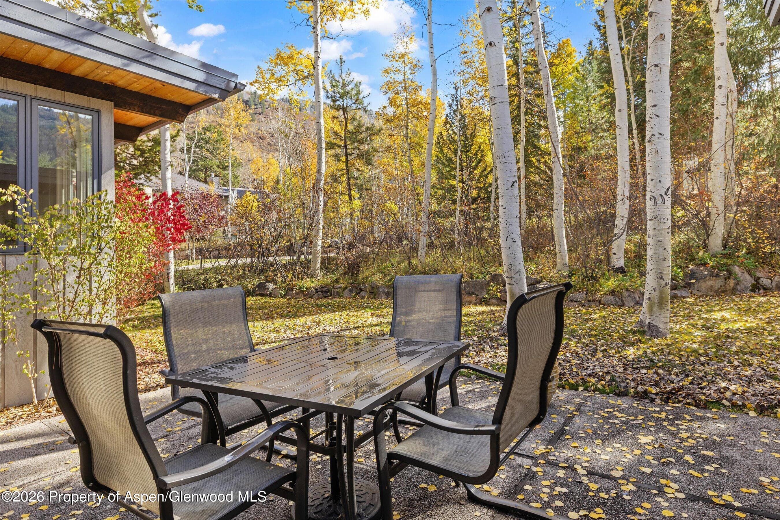 308 Mcskimming Road, Aspen, CO 81611 - Photo 25