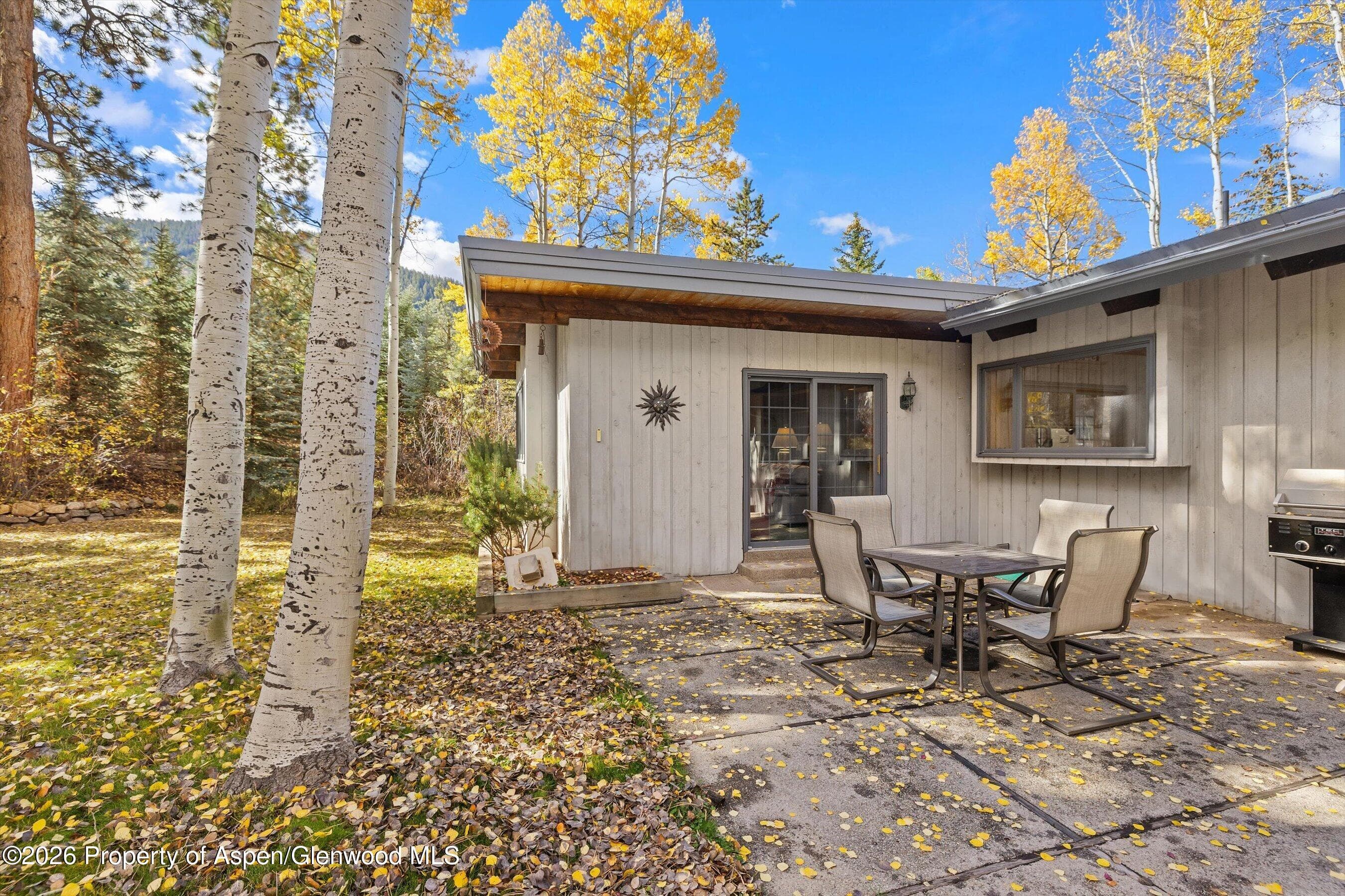 308 Mcskimming Road, Aspen, CO 81611 - Photo 24