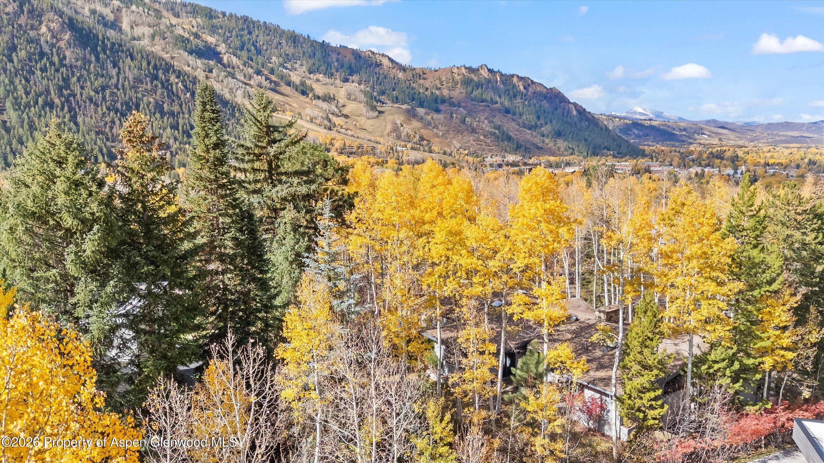 308 Mcskimming Road, Aspen, CO 81611 - Photo 28