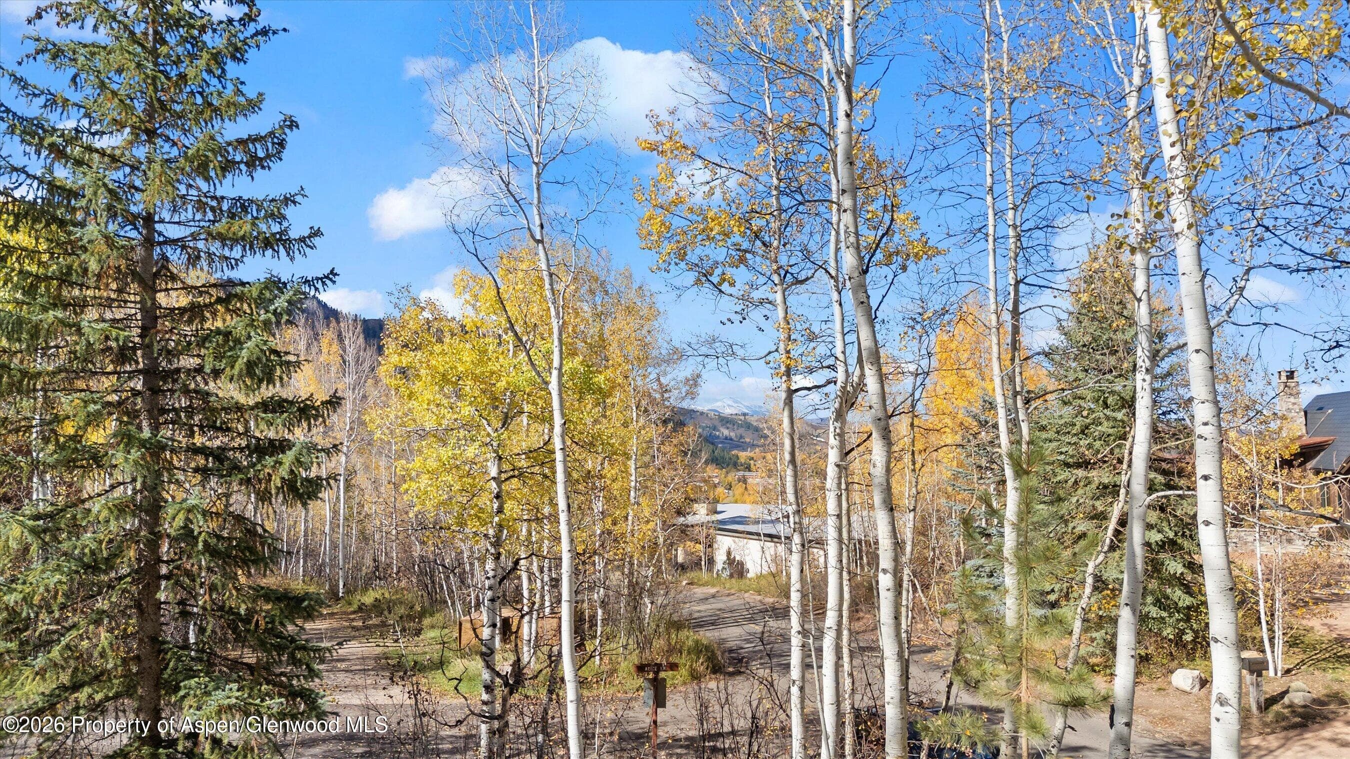 308 Mcskimming Road, Aspen, CO 81611 - Photo 30