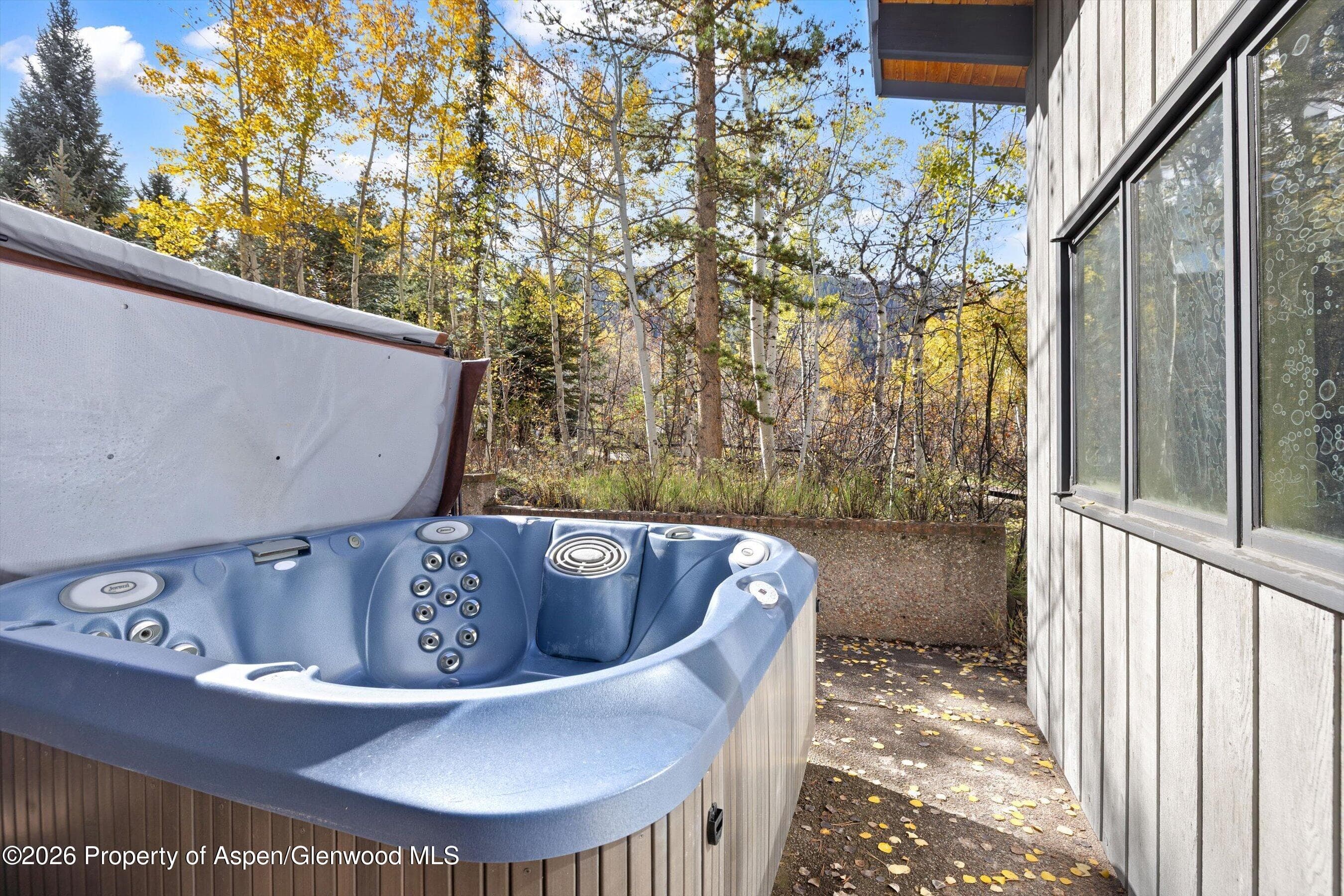 308 Mcskimming Road, Aspen, CO 81611 - Photo 23