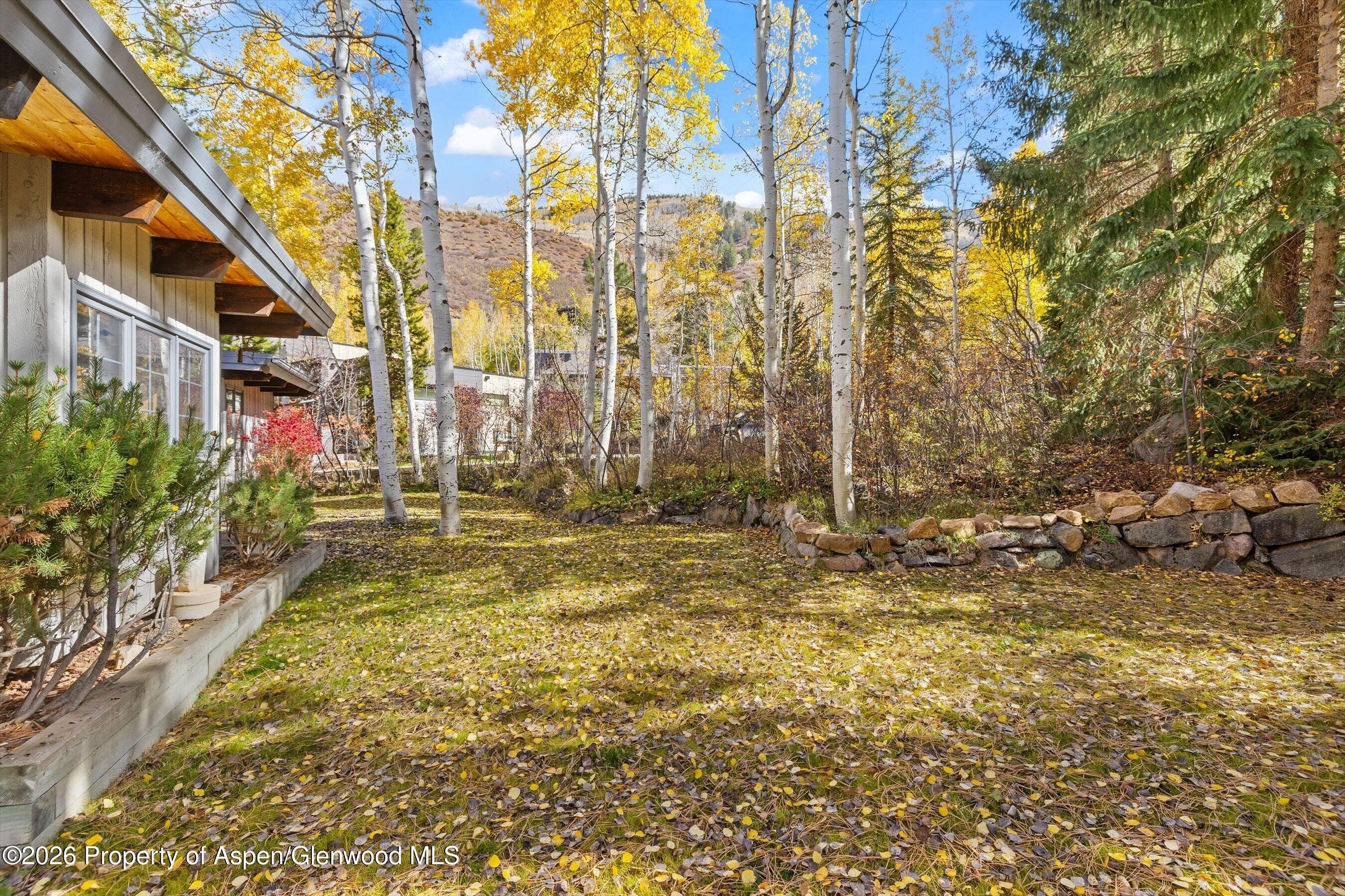 308 Mcskimming Road, Aspen, CO 81611 - Photo 26