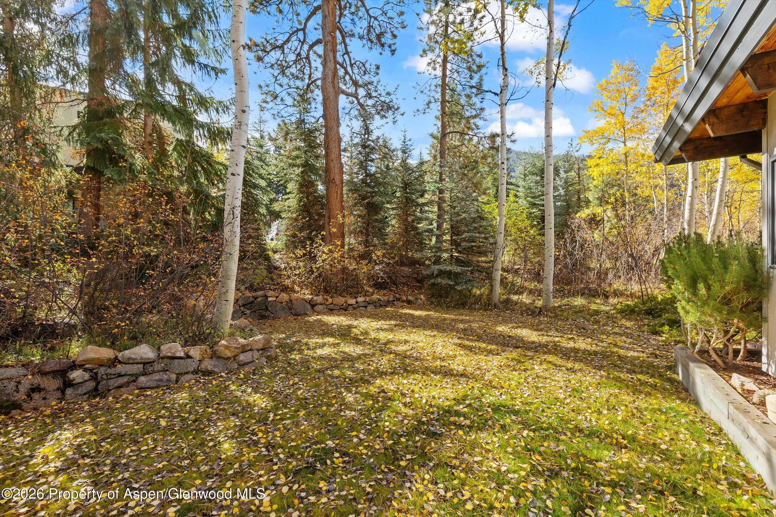308 Mcskimming Road, Aspen, CO 81611 - Photo 27