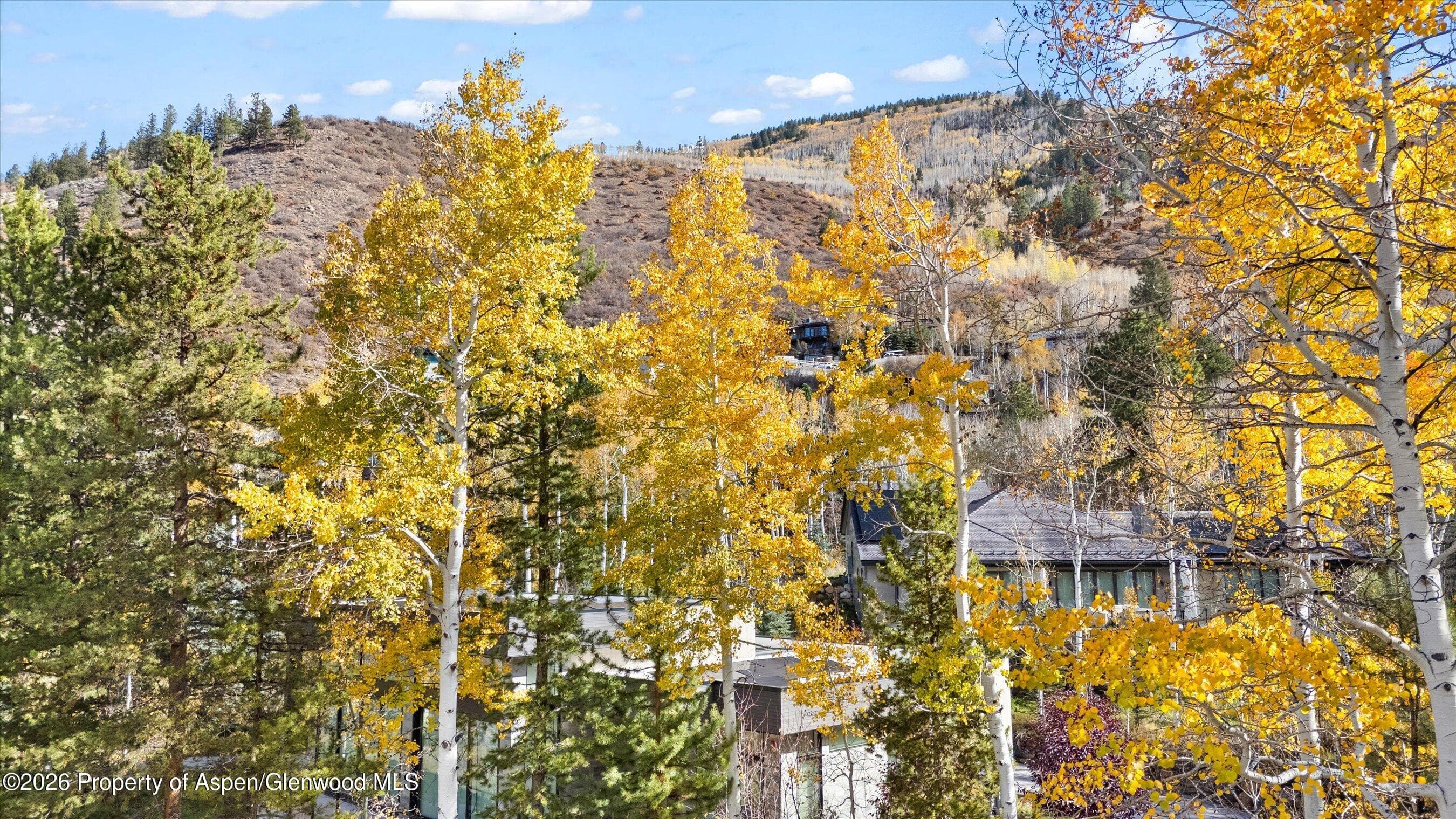 308 Mcskimming Road, Aspen, CO 81611 - Photo 31