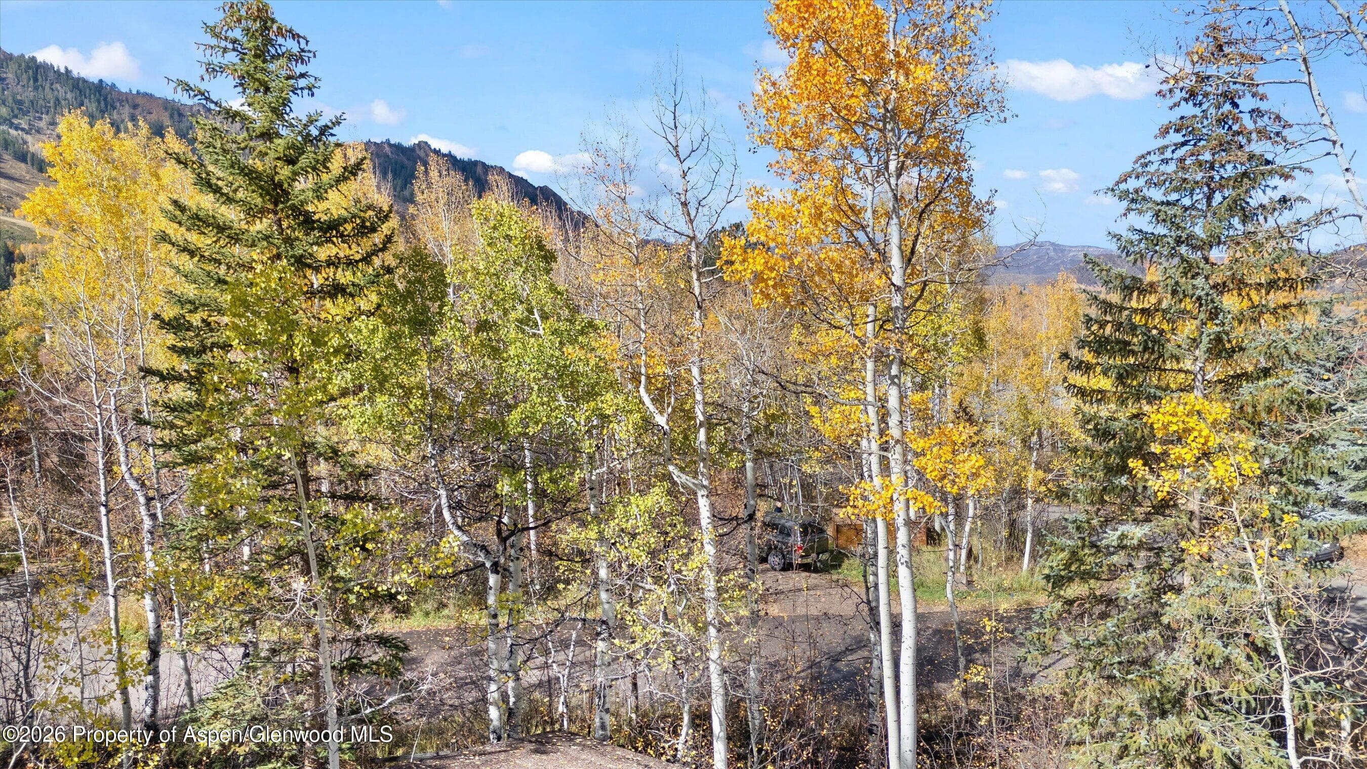 308 Mcskimming Road, Aspen, CO 81611 - Photo 32