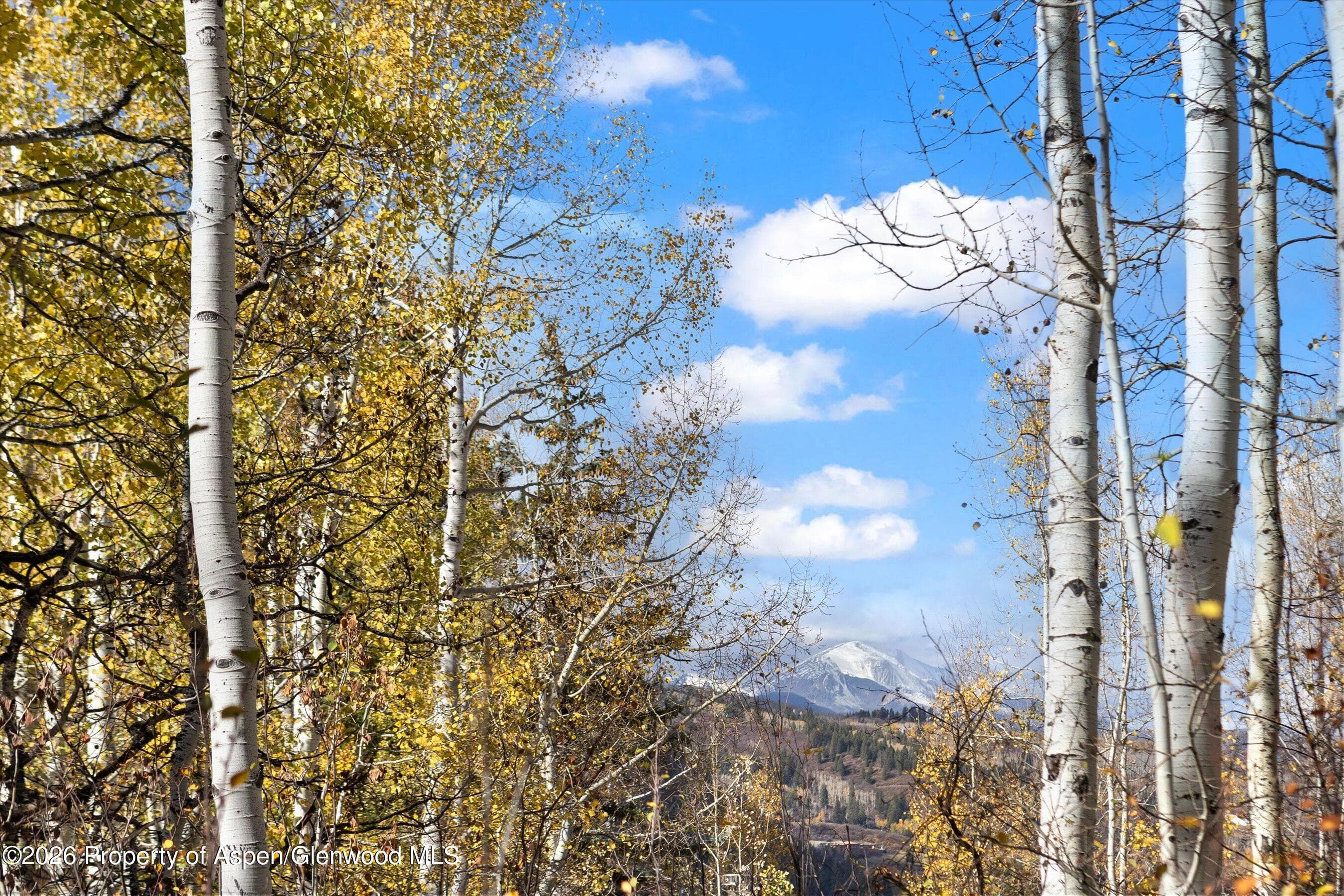 308 Mcskimming Road, Aspen, CO 81611 - Photo 36