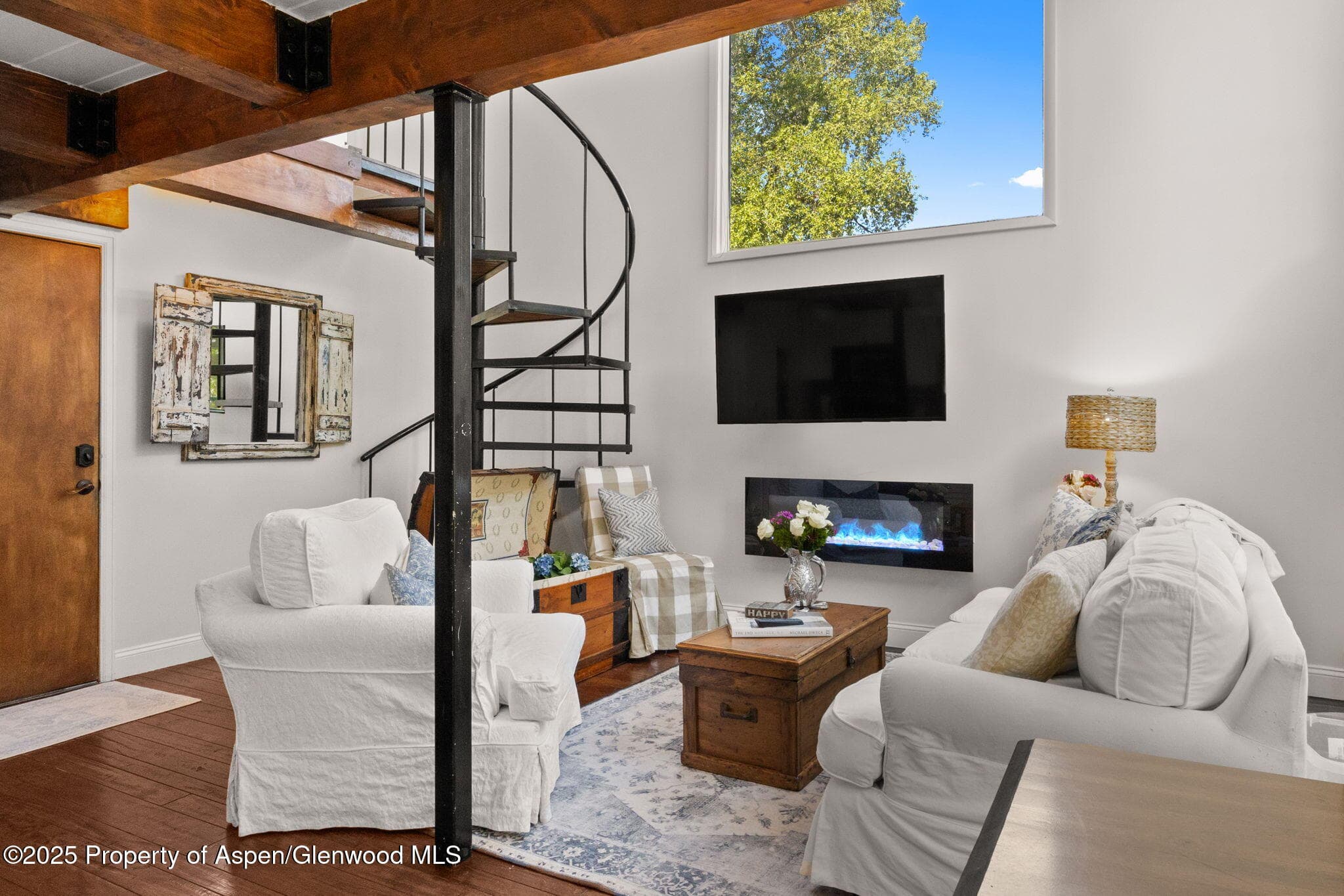 1024 E Cooper Avenue 8, Aspen, CO 81611