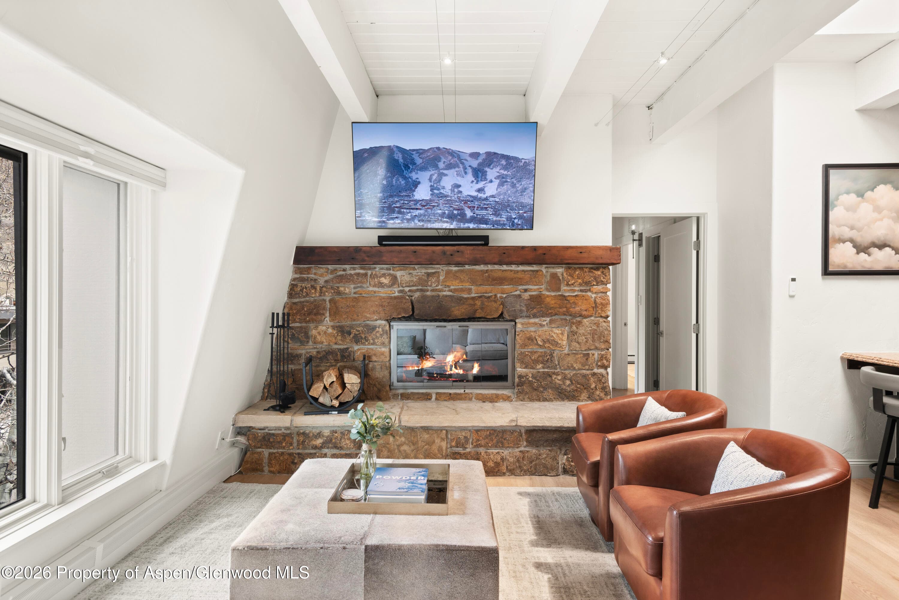 725 E Durant Avenue 19, Aspen, CO 81611 - Photo 3