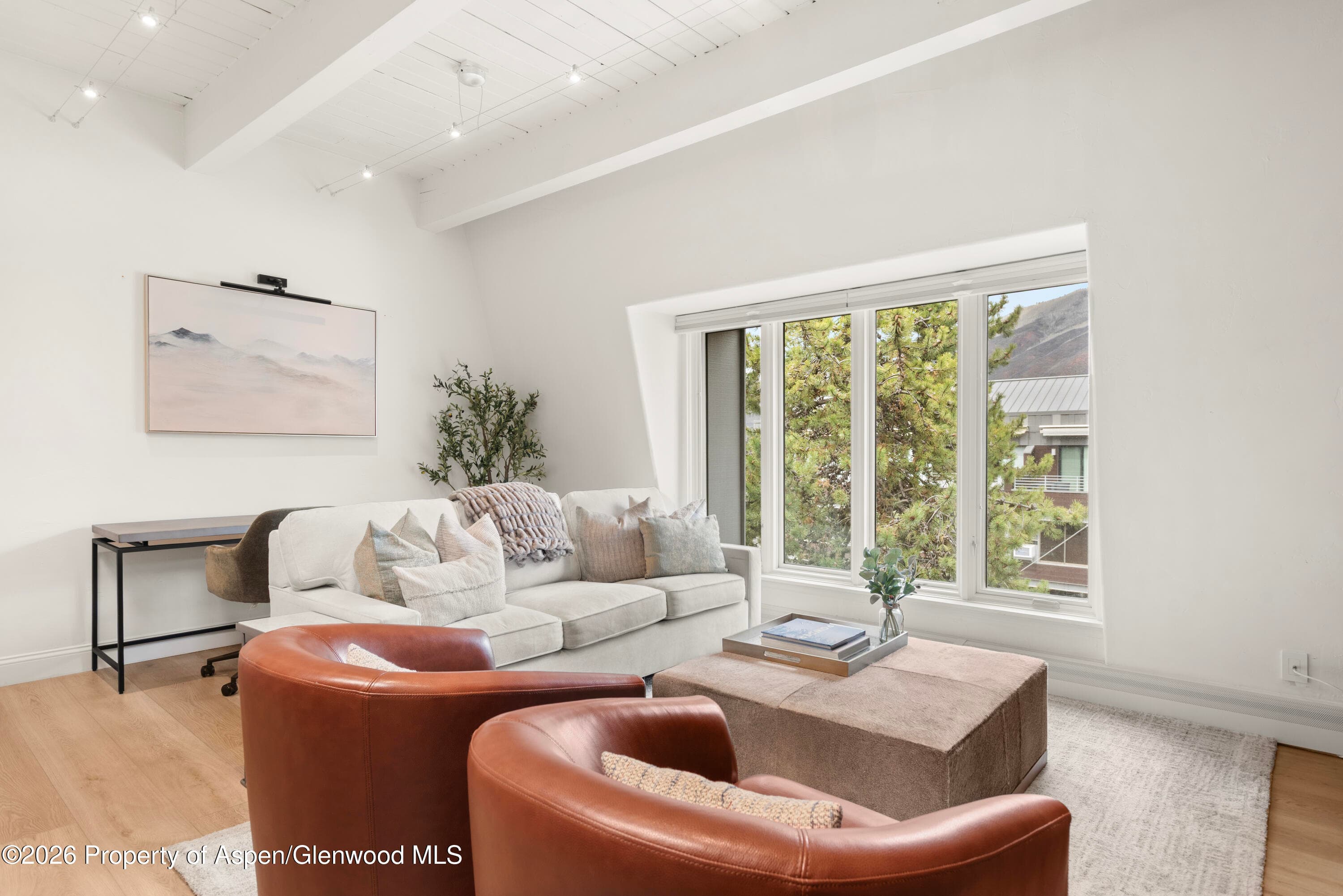 725 E Durant Avenue 19, Aspen, CO 81611 - Photo 4