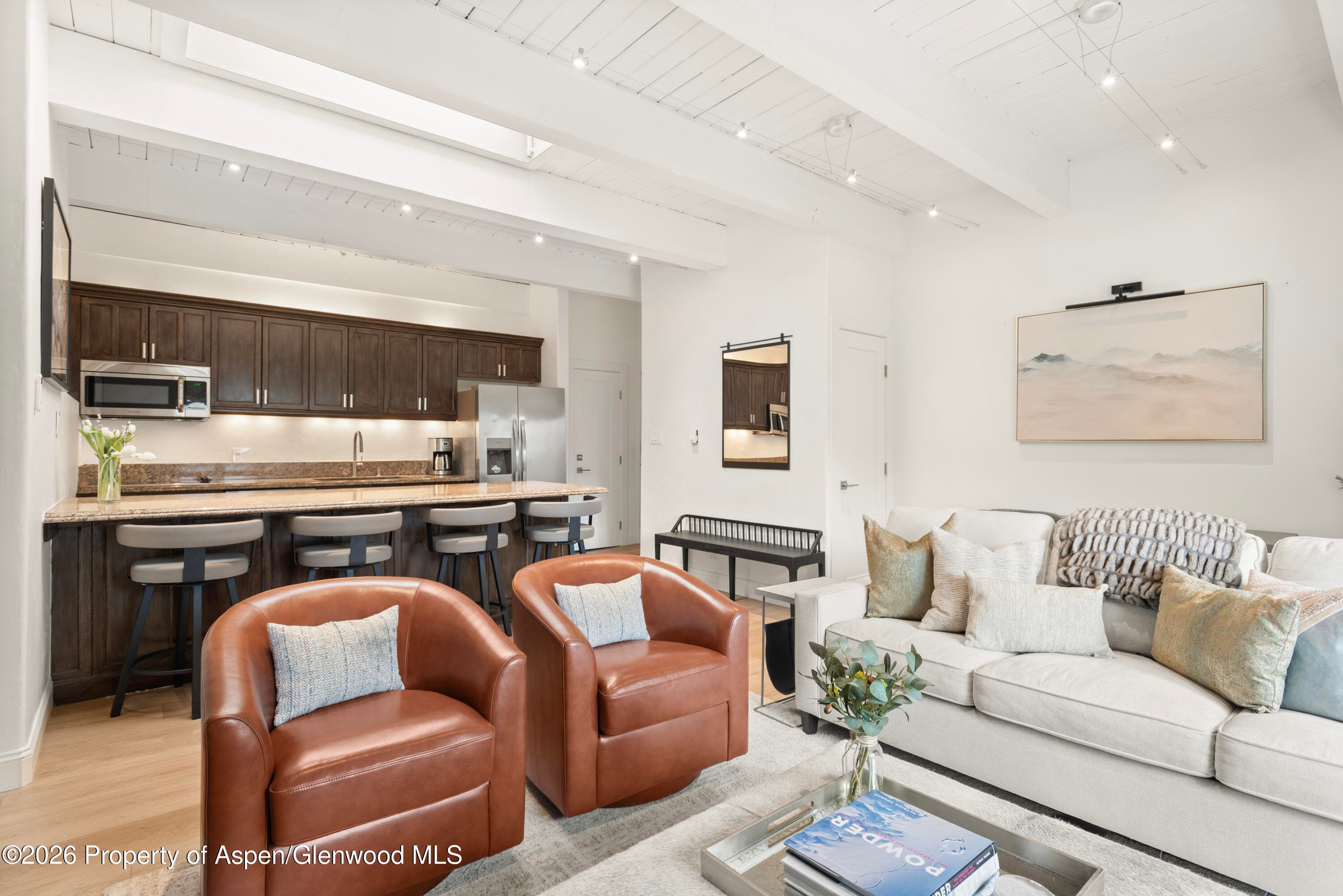 725 E Durant Avenue 19, Aspen, CO 81611 - Photo 5
