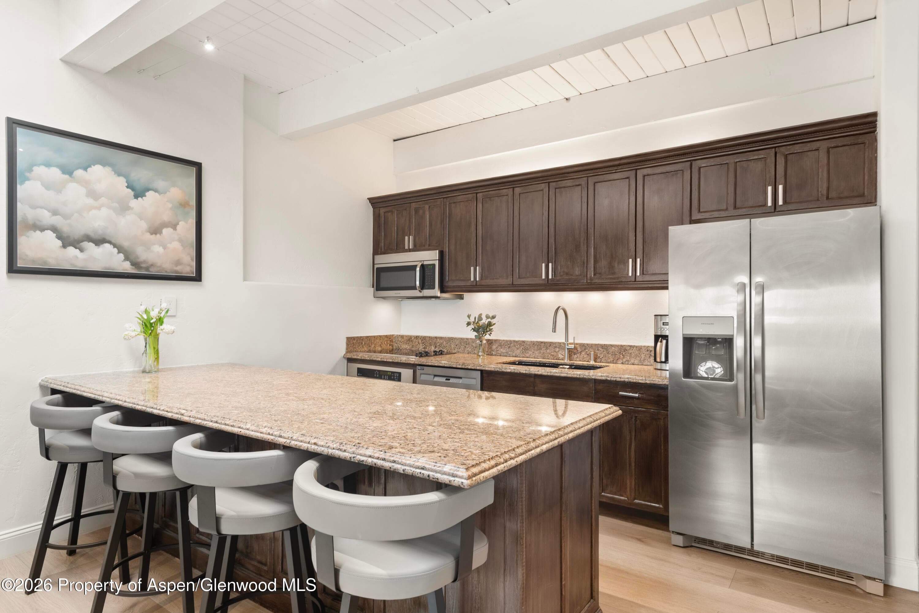725 E Durant Avenue 19, Aspen, CO 81611 - Photo 7