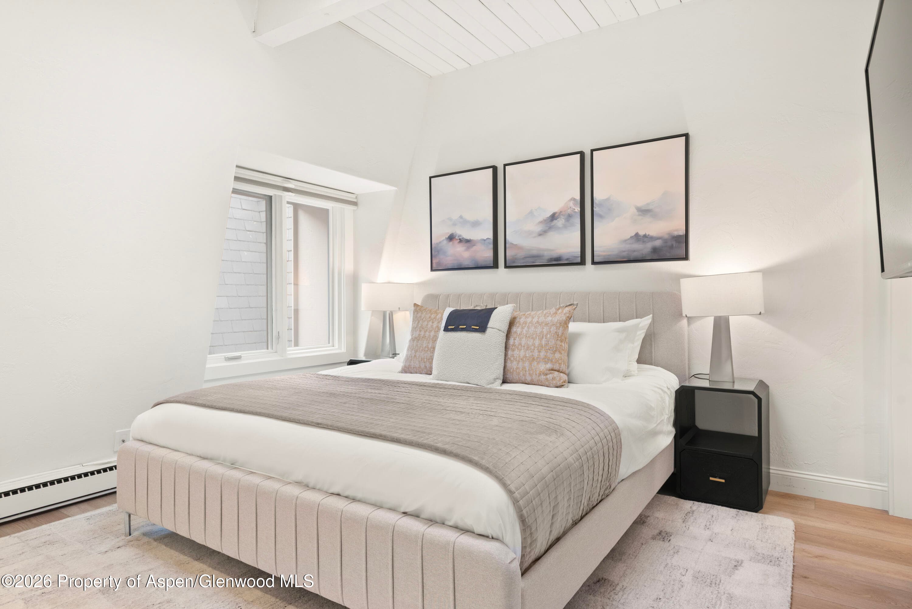 725 E Durant Avenue 19, Aspen, CO 81611 - Photo 9