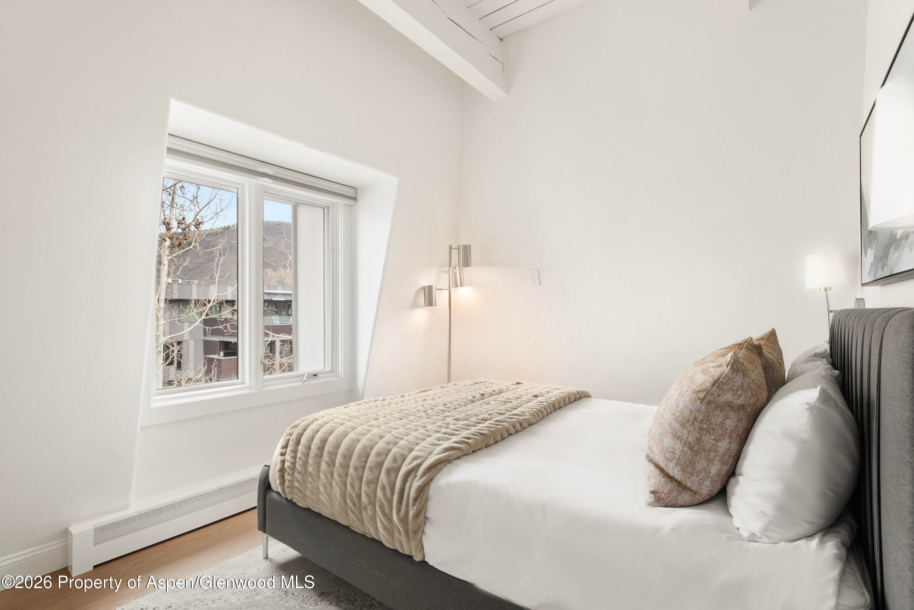 725 E Durant Avenue 19, Aspen, CO 81611 - Photo 10
