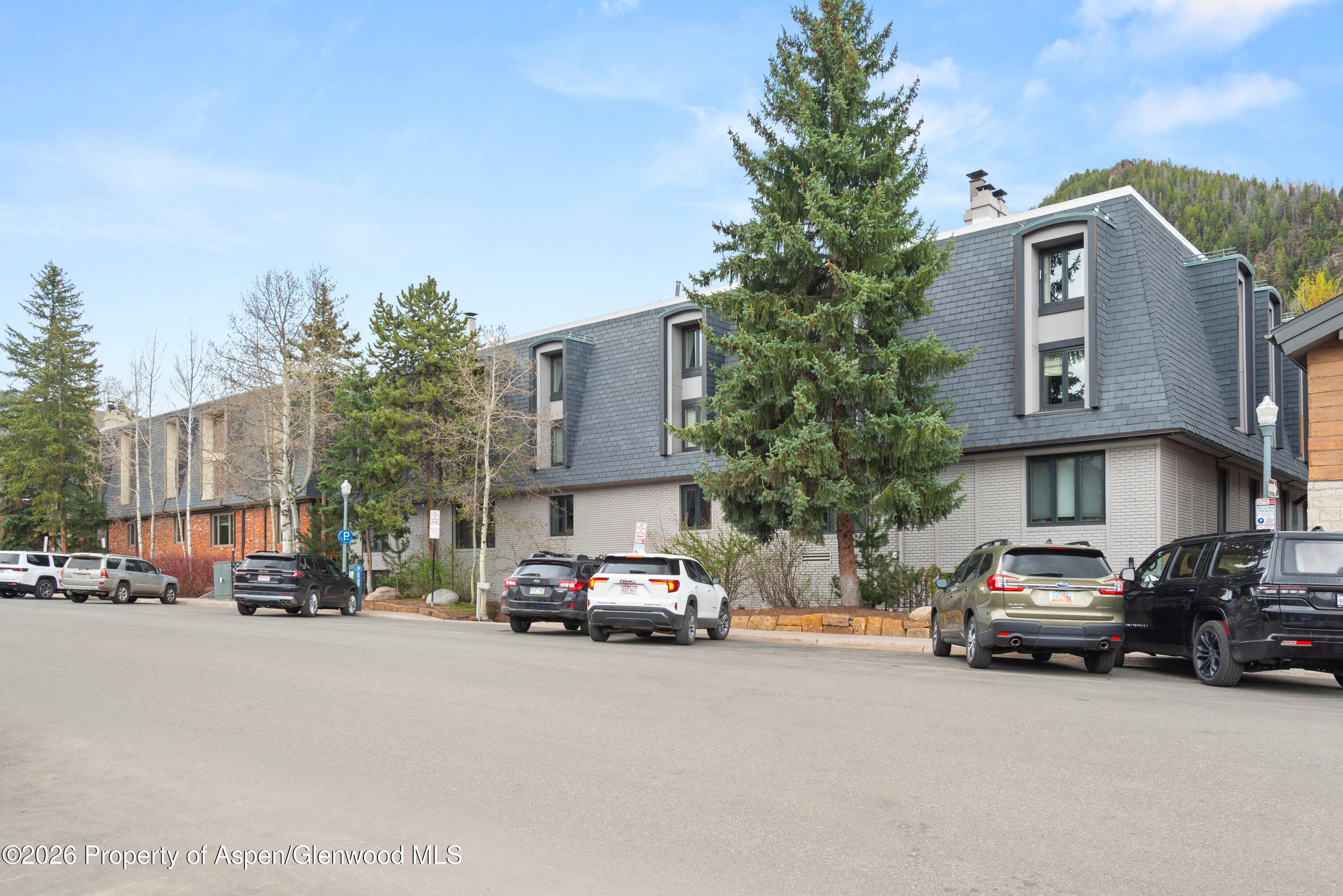 725 E Durant Avenue 19, Aspen, CO 81611 - Photo 16