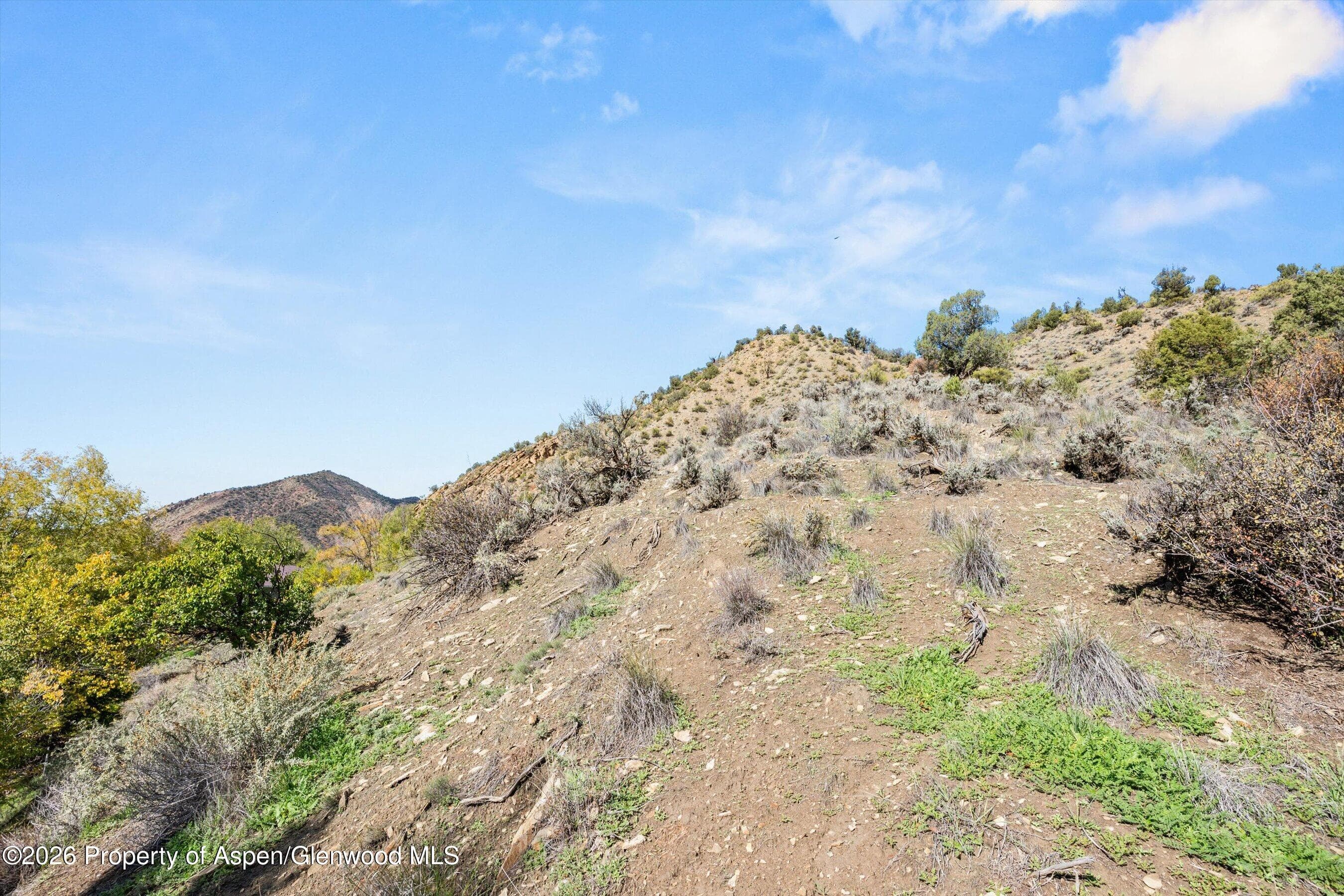 318 N B Street, New Castle, CO 81647 - Photo 47