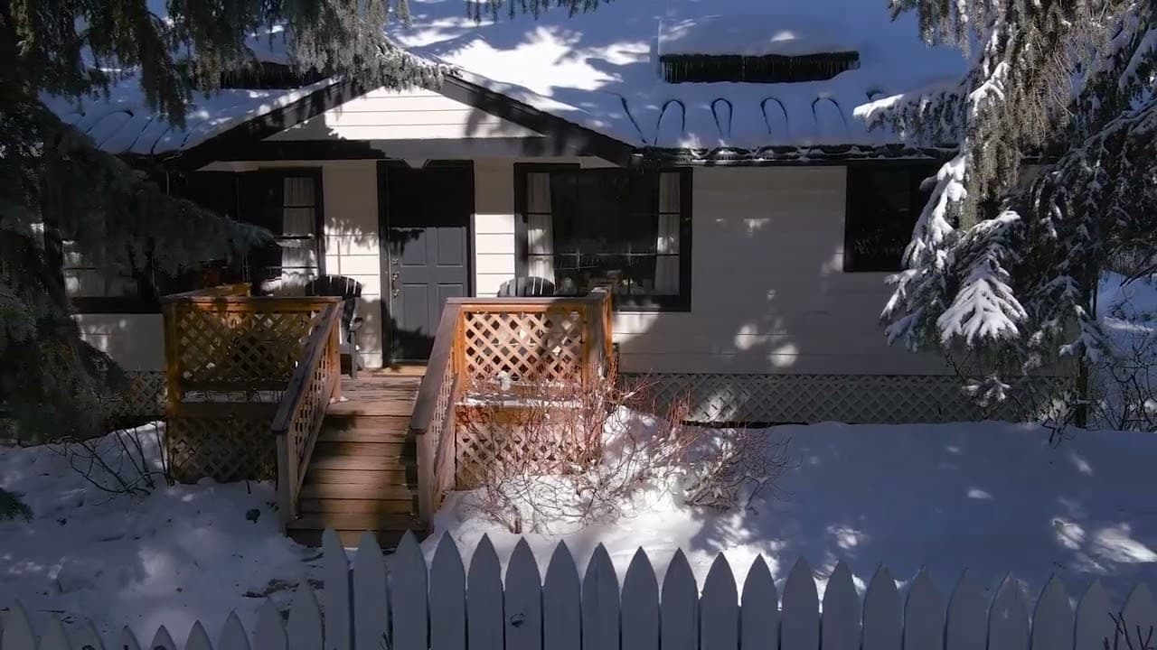 210 & 212 W. Francis, Aspen, Colorado
