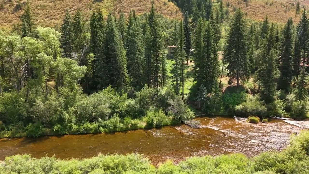 768 Kings Lake Road | Frying Pan River Frontage | Basalt, Colorado